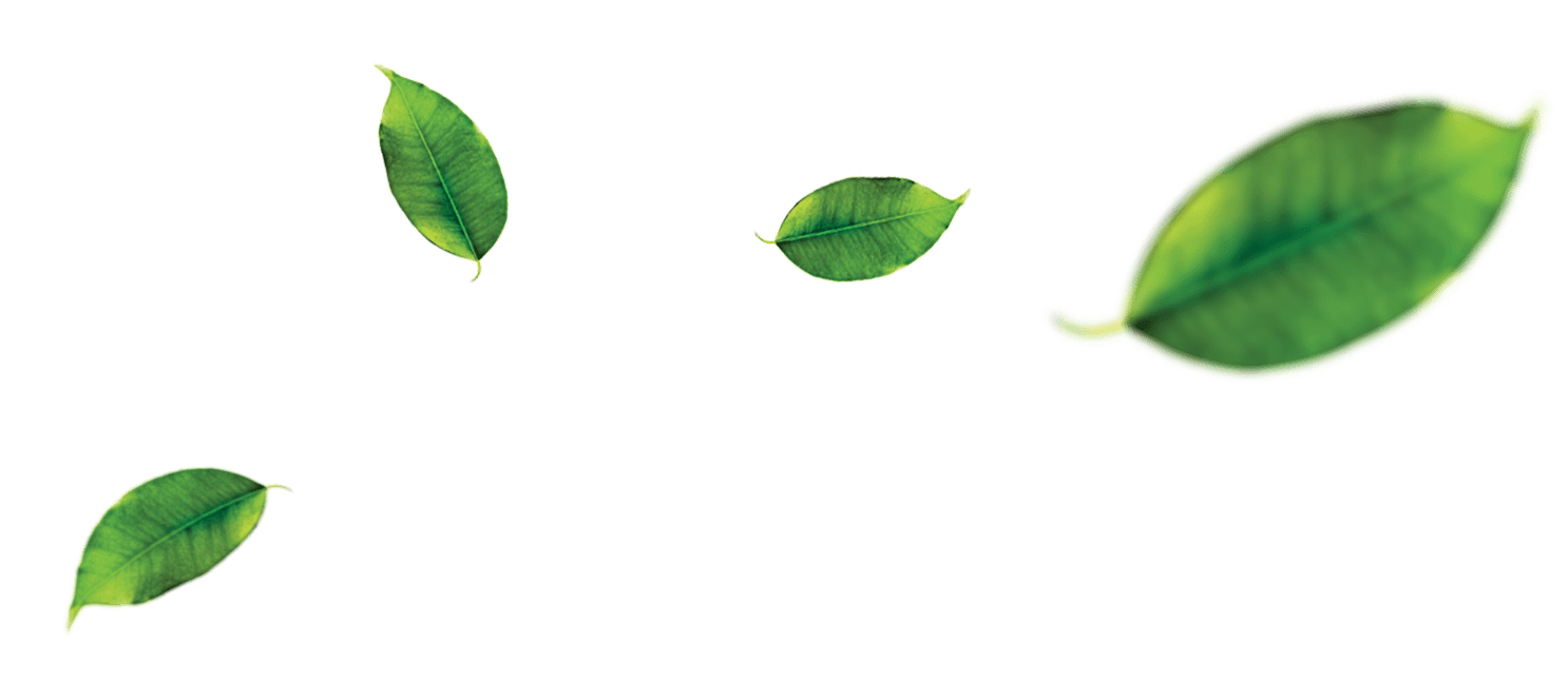 Decorative Background